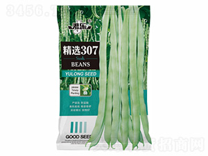 ���x307-�Z���_(d��)