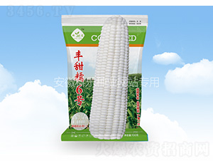 �S��Ŵ6̖-�Ƙ��N�I