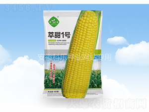 ����һ̖-�Ƙ��N�I