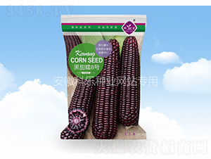 ����Ŵ8̖-�Ƙ��N�I