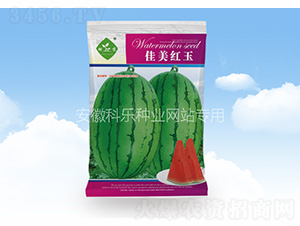 �����t��-�Ƙ��N�I