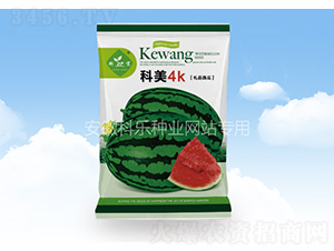 ����4K-�Ƙ��N�I