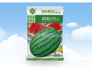 ����6̖-�Ƙ��N�I