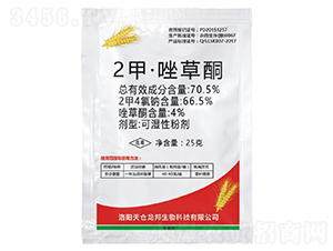 2�ס����ͪ�ɝ��Էۄ�-�������r