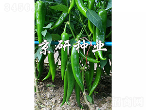 ����316-�����N��-���зN�I