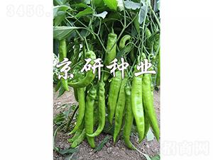 ����907-�����N��-���зN�I