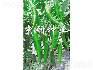 ����1̖-�����N��-���зN�I