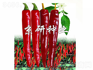 ����118-�����N��-���зN�I