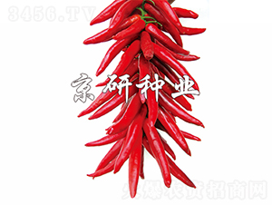 ����2̖-�����N��-���зN�I