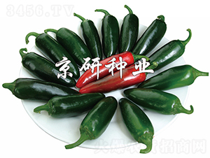 ����104-�����N��-���зN�I