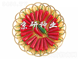 ����106-�����N��-���зN�I