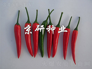 ����112-�����N��-���зN�I