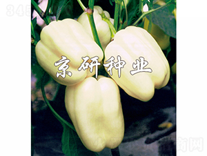 ����2̖-�����N��-���зN�I