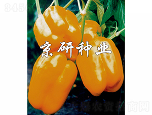 ����2̖-�����N��-���зN�I