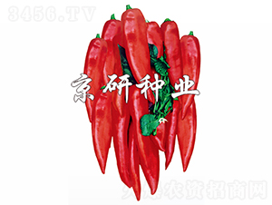 �t��-�����N��-���зN�I