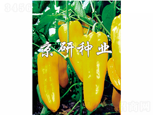 �S��-�����N��-���зN�I