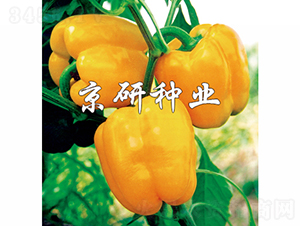 �S��2̖-�����N��-���зN�I