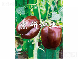 �ɿ�����-�����N��-���зN�I