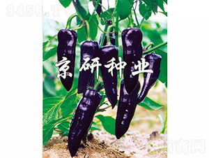 ����-�����N��-���зN�I