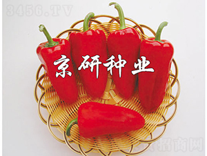 ����-�����N��-���зN�I