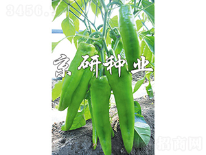 ����910-�����N��-���зN�I