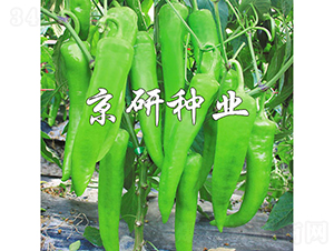 �ٺ�742-�����N��-���зN�I