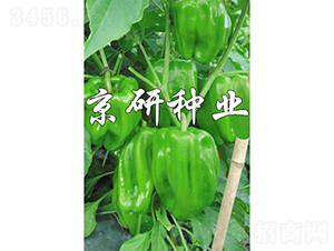 ����514-�����N��-���зN�I