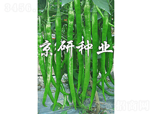 ����416-�����N��-���зN�I