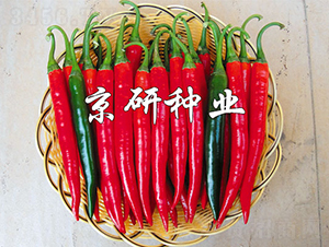 ����418-�����N��-���зN�I