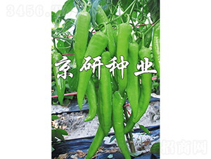 ����912-�����N��-���зN�I