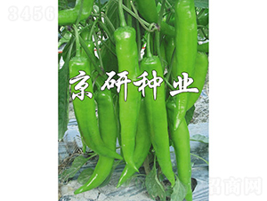 ����913-�����N��-���зN�I