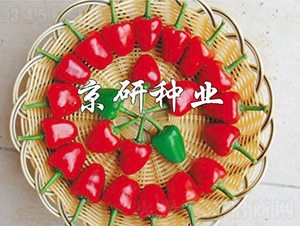 ����166-�����N��-���зN�I