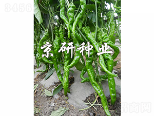 ����1̖-�����N��-���зN�I