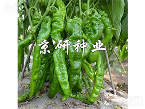 ����2̖-�����N��-���зN�I