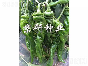 ����3̖-�����N��-���зN�I