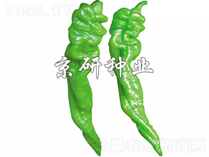 ����5̖-�����N��-���зN�I