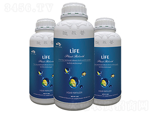 �M������I�B�ⶾ��-���R����-�Ϙ���