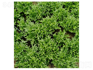 ������Ԋ-���˷N��-�����N�I