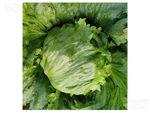 ���������_-���˷N��-�����N�I