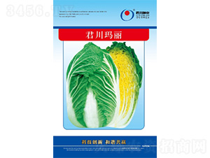 ��������-�ײ˷N��-�����N�I