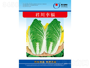 �����Ҹ�-�ײ˷N��-�����N�I