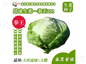 ȭ��201-���˷N��-���S�r�I