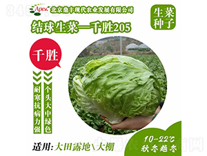 ǧ��205-���˷N��-���S�r�I