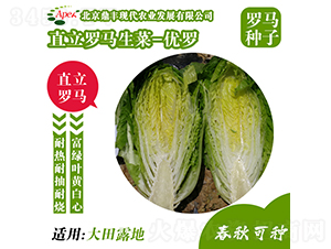 ���_-���˷N��-���S�r�I