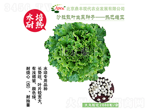 ��;S��-���˷N��-���S�r�I