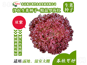 ��Ʒ�_ɯ�t-���˷N��-���S�r�I