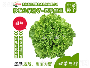 ���_�S��-���˷N��-���S�r�I