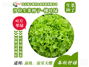 ���~�G-���˷N��-���S�r�I