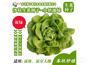 С���;G-���˷N��-���S�r�I