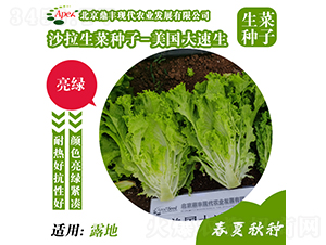 ����������-���˷N��-���S�r�I